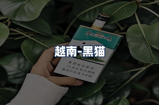 越南黑猫